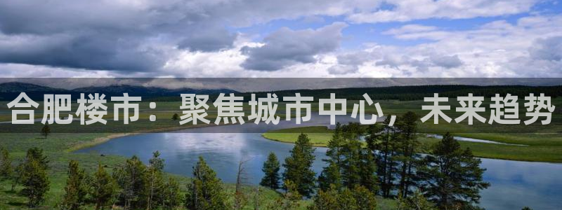 新宝5娱乐招商：合肥楼市：聚焦城市中心，未来趋势