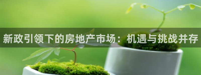 新宝5唯一：新政引领下的房地产市场：机遇与挑战并存
