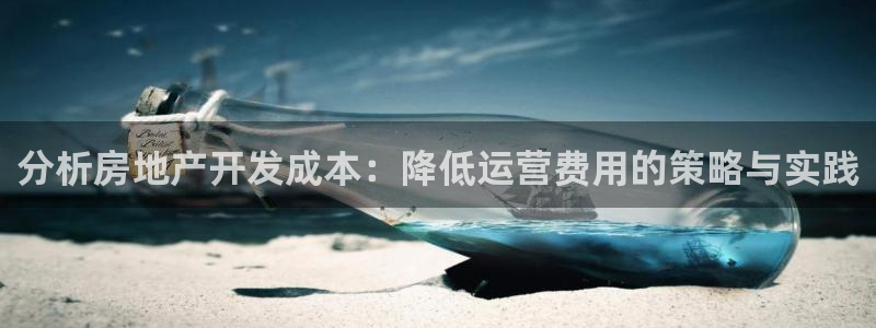 新宝5侹刔：分析房地产开发成本：降低运营费用的策略与实践