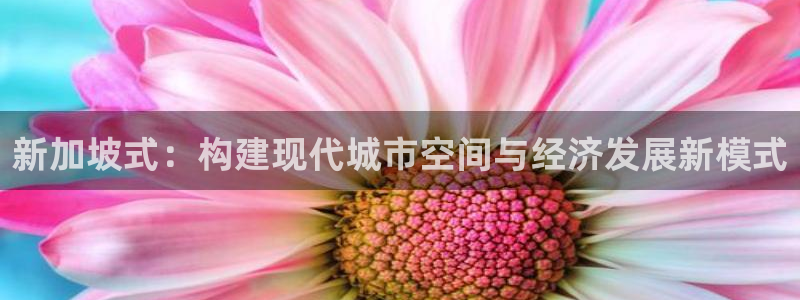 新宝5官网app：新加坡式：构建现代城市空间与经济发展新模式