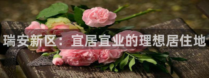新宝5郑74OOO5：瑞安新区：宜居宜业的理想居住地