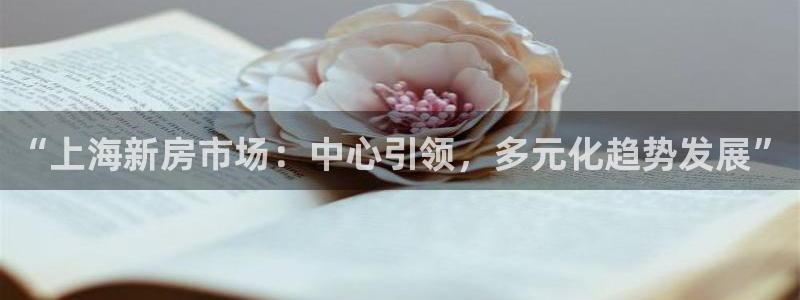 新宝5登录测速中心：“上海新房市场：中心引领，多元化趋势发展