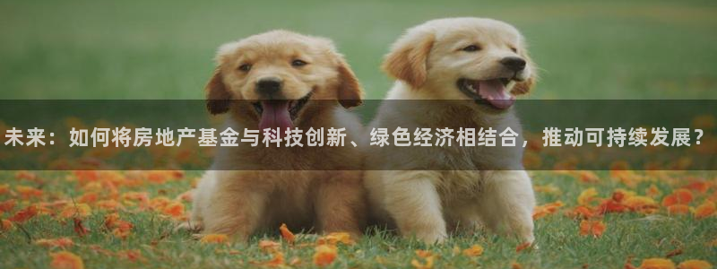 新宝5分彩：未来：如何将房地产基金与科技创新、绿色经济相结合