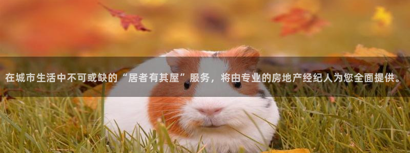 新宝5手机平台登陆：在城市生活中不可或缺的“居者有其屋”服务