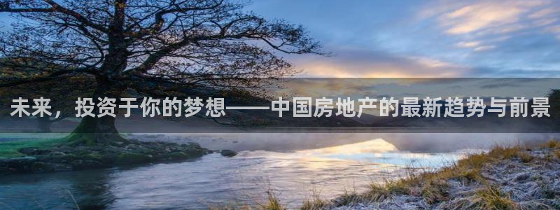 新宝5系列：未来，投资于你的梦想——中国房地产的最新趋势与前
