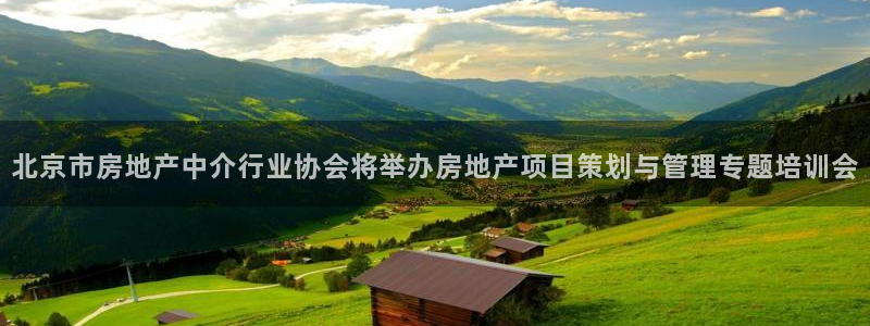 新宝5注册平台：北京市房地产中介行业协会将举办房地产项目策划