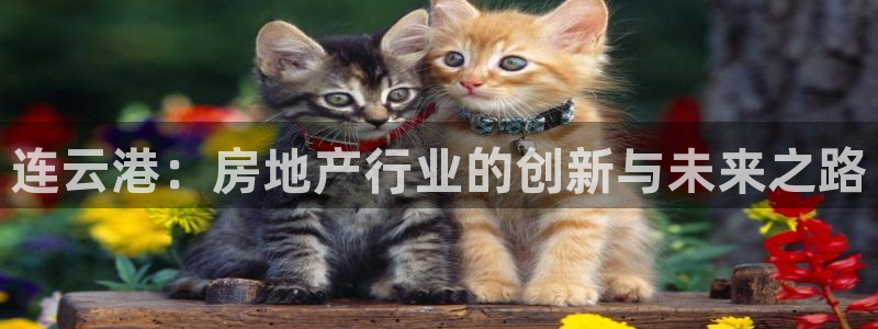 新宝5娱乐平台：连云港：房地产行业的创新与未来之路