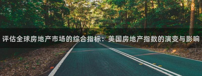 新宝5黑彩：评估全球房地产市场的综合指标：美国房地产指数的演