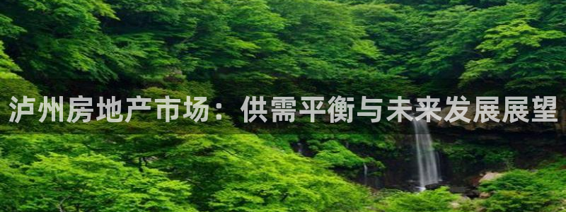 新宝5电脑登录网址：泸州房地产市场：供需平衡与未来发展展望
