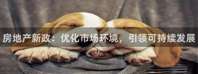 新宝5地址：房地产新政：优化市场环境，引领可持续发展