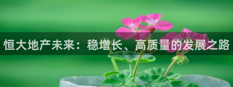 新宝5招商222111：恒大地产未来：稳增长、高质量的发展之