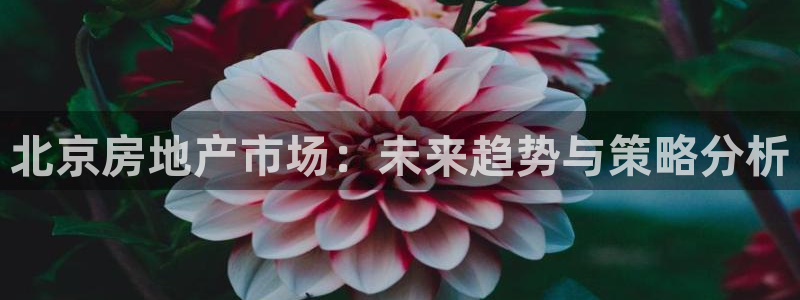 新宝5官方登录入口：北京房地产市场：未来趋势与策略分析