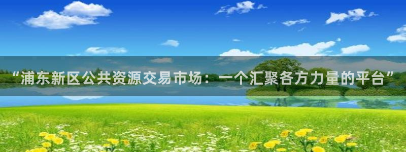 新宝5手机版登录：“浦东新区公共资源交易市场：一个汇聚各方力