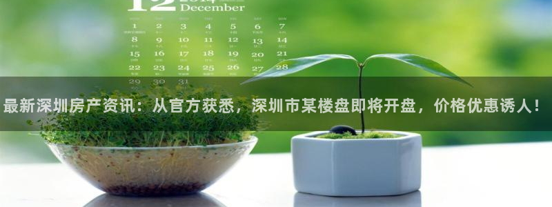 新宝5官网app：最新深圳房产资讯：从官方获悉，深圳市某楼盘