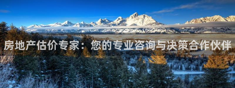 新宝娱乐5