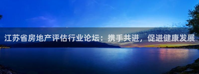 新宝5浗维33 300：江苏省房地产评估行业论坛：携手共进，