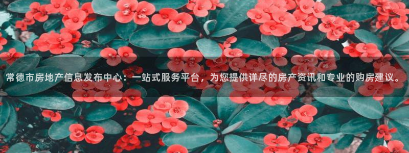 新宝5_测：常德市房地产信息发布中心：一站式服务平台，为您提
