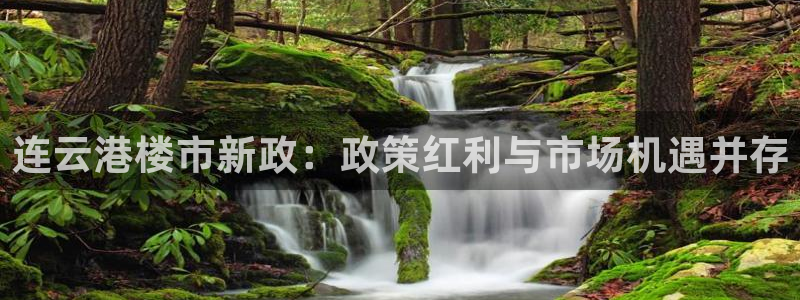 新宝5源码：连云港楼市新政：政策红利与市场机遇并存