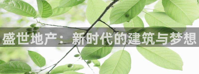 新宝5平台霸