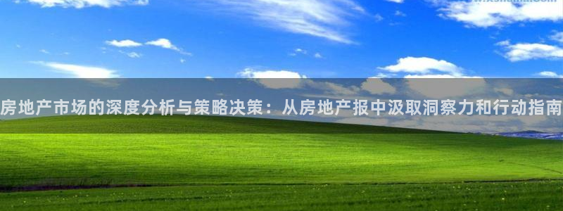 新宝5玩法：房地产市场的深度分析与策略决策：从房地产报中汲取