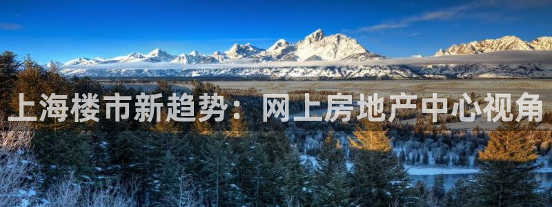 p5r新宝魔：上海楼市新趋势：网上房地产中心视角
