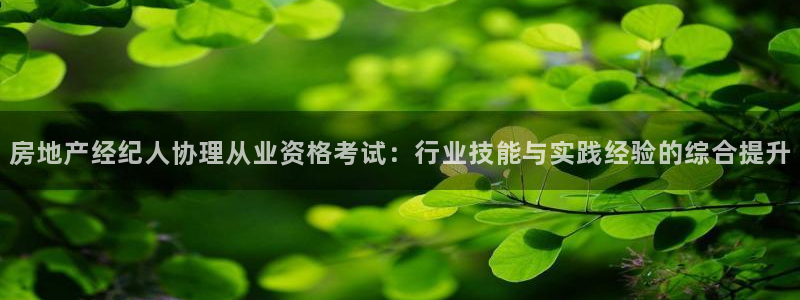 新宝5登录测速中心：房地产经纪人协理从业资格考试：行业技能与
