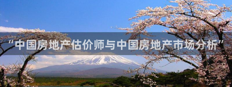 新宝5首页：“中国房地产估价师与中国房地产市场分析”