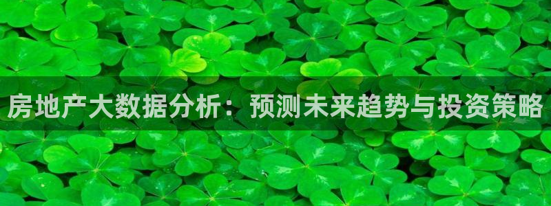 新宝5浗维33 300：房地产大数据分析：预测未来趋势与投资