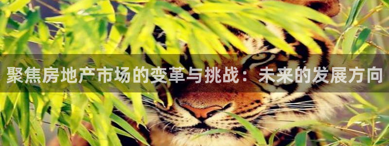 新宝5 唯一：聚焦房地产市场的变革与挑战：未来的发展方向