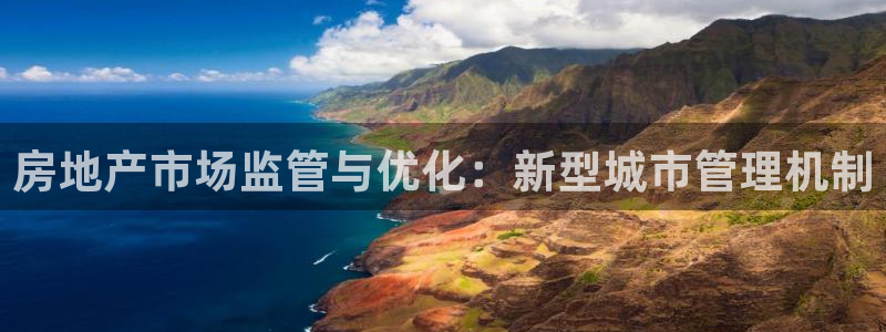 新宝5寂创33300散：房地产市场监管与优化：新型城市管理机