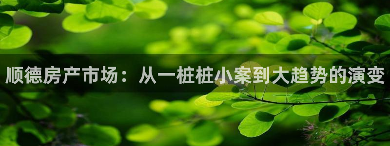 新宝5 注册：顺德房产市场：从一桩桩小案到大趋势的演变