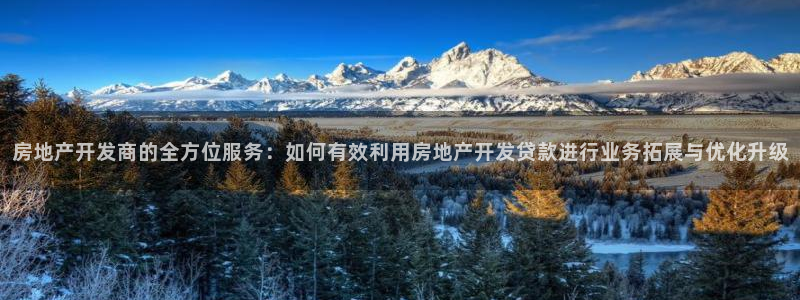 新宝5的网址：房地产开发商的全方位服务：如何有效利用房地产开