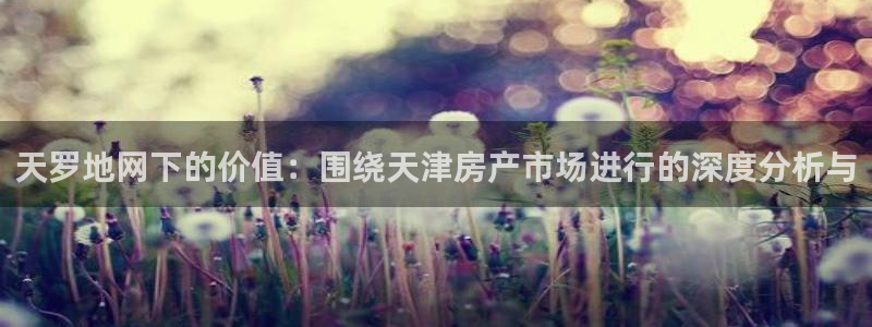 新宝b2O5O5O：天罗地网下的价值：围绕天津房产市场进行的