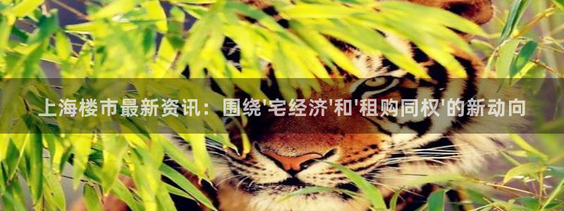 新宝5平棋牌：上海楼市最新资讯：围绕\'宅经济\'和\'租购