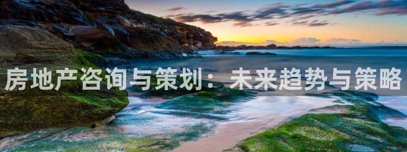 新宝5账号注册：房地产咨询与策划：未来趋势与策略