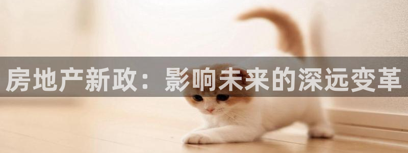 新宝5线路：房地产新政：影响未来的深远变革