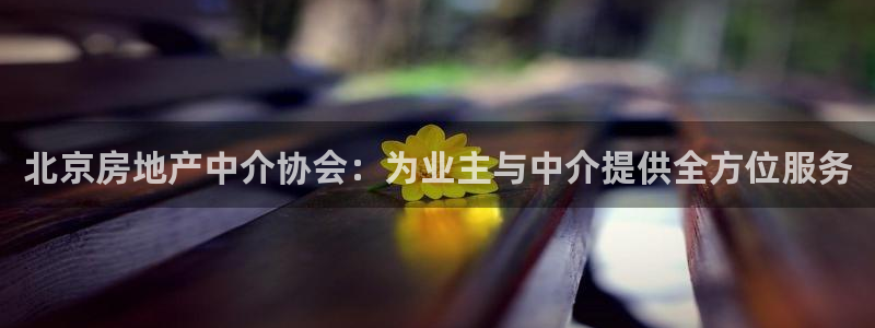 新宝5如何注册：北京房地产中介协会：为业主与中介提供全方位服