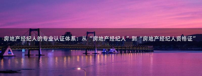 新宝5天：房地产经纪人的专业认证体系：从“房地产经纪人”到“