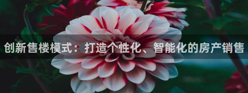 下载新宝5：创新售楼模式：打造个性化、智能化的房产销售