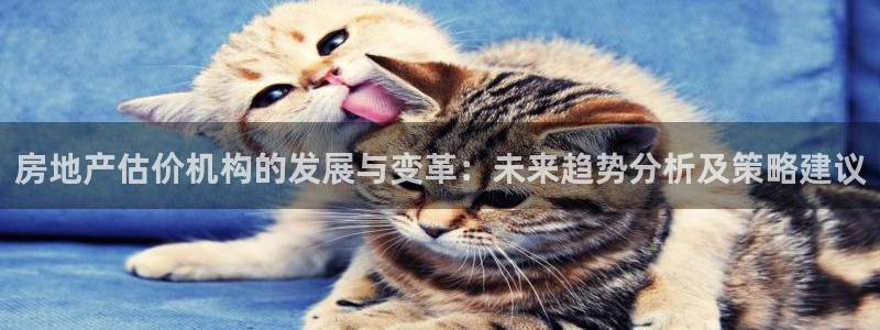 新宝5测速平台登录：房地产估价机构的发展与变革：未来趋势分析
