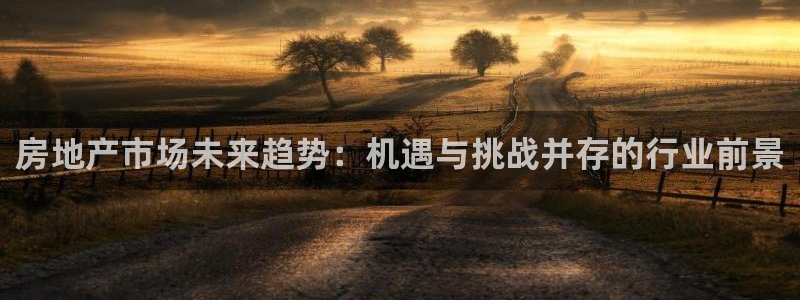 新宝_5：房地产市场未来趋势：机遇与挑战并存的行业前景