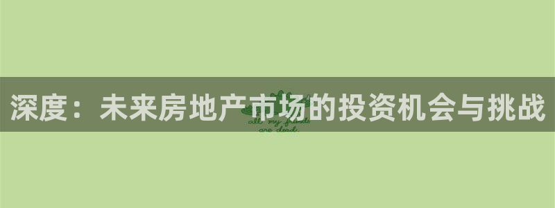 新宝5测登录：深度：未来房地产市场的投资机会与挑战