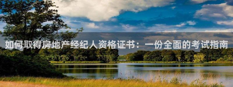 新宝5找找74OOO5：如何取得房地产经纪人资格证书：一份全