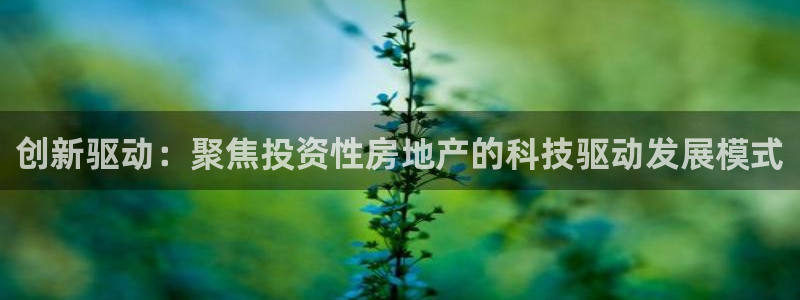 新宝gg5：创新驱动：聚焦投资性房地产的科技驱动发展模式