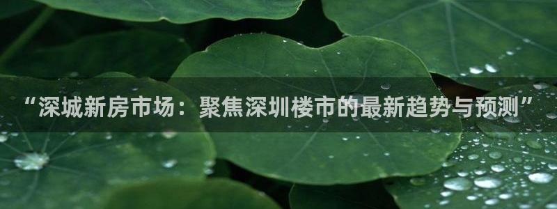 新宝5测速下载：“深城新房市场：聚焦深圳楼市的最新趋势与预测