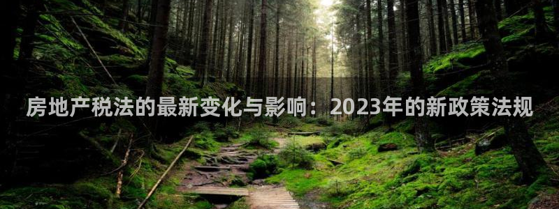 新宝5球维33 300：房地产税法的最新变化与影响：2023