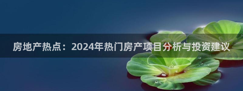 新宝5d：房地产热点：2024年热门房产项目分析与投资建议