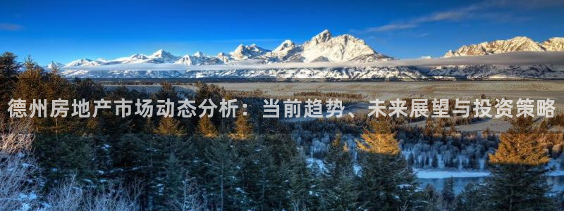 新宝5开好：德州房地产市场动态分析：当前趋势、未来展望与投资