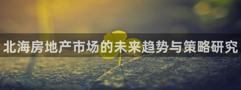 新宝5娱乐都：北海房地产市场的未来趋势与策略研究