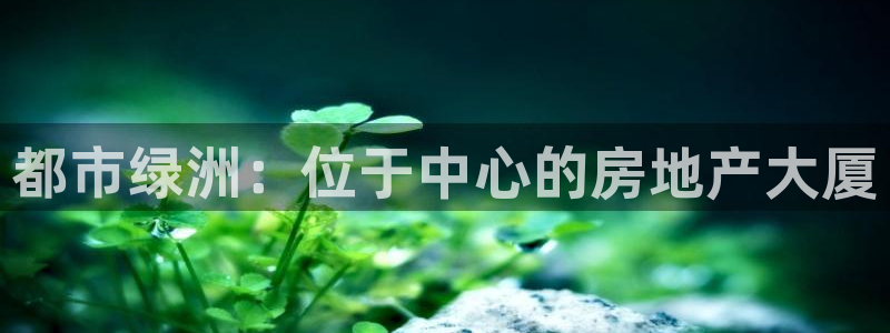 新宝5挂机：都市绿洲：位于中心的房地产大厦